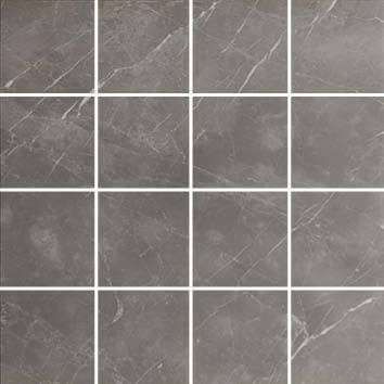 Мозаика Pamesa Cromat Piave Malla Altair Argent, цвет серый, поверхность полированная, квадрат, 300x300