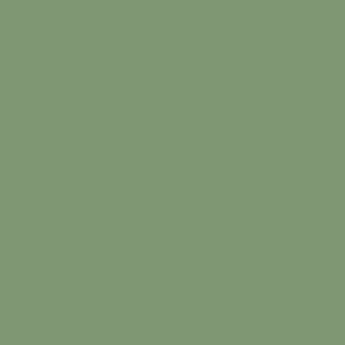 Керамогранит Керамин Моноколор 4, цвет зелёный, поверхность матовая, квадрат, 600x600