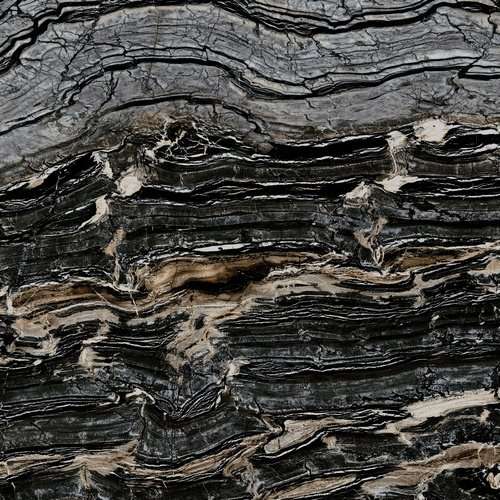 Керамогранит Roberto Cavalli Rock Symphony Glam Lux 531586, цвет чёрный тёмный, поверхность полированная, квадрат, 147x147
