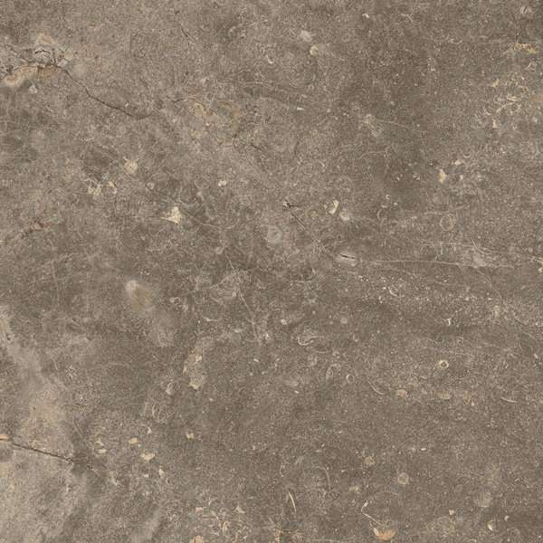Керамогранит Coliseumgres Cervinia Terra 610010001441, цвет коричневый, поверхность матовая, квадрат, 450x450