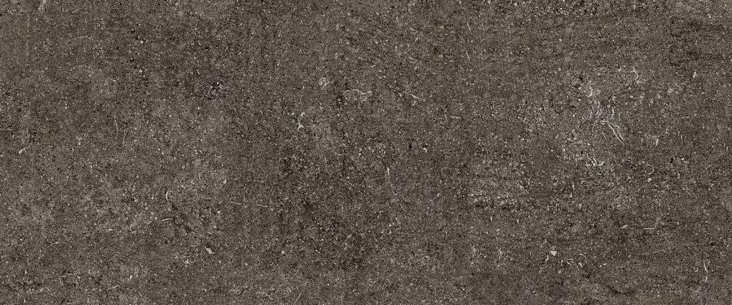 Широкоформатный керамогранит Casa Dolce Casa Sensi Brown Fossil 6mm 768610, цвет коричневый, поверхность матовая, прямоугольник, 1200x2800