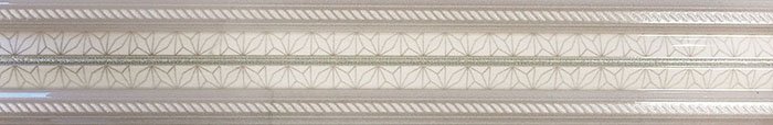 Бордюры Azteca Cenefa Passion Ice, цвет серый, поверхность глянцевая, прямоугольник, 50x300