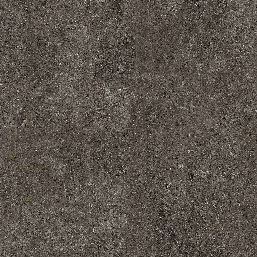 Керамогранит Casa Dolce Casa Sensi Brown Fossil 768379, цвет коричневый, поверхность матовая, квадрат, 800x800