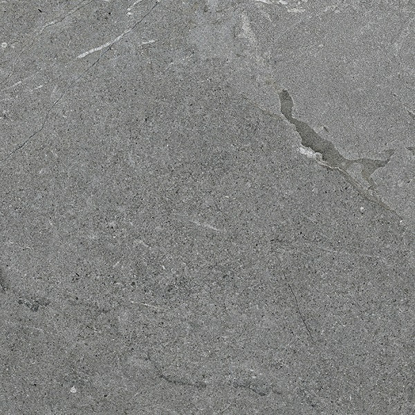 Керамогранит Porcelanosa Lucerna Silver 100314070, цвет серый, поверхность матовая, квадрат, 596x596