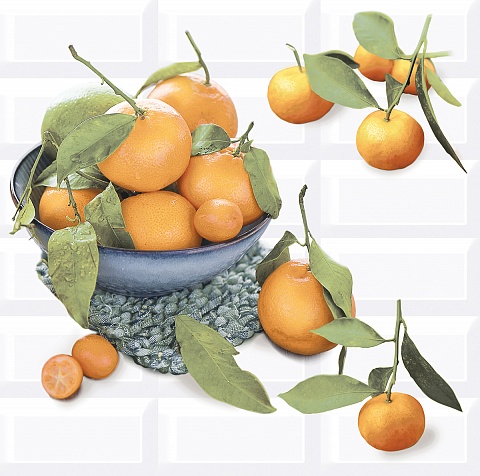 Панно Azori Вог Панно Citrus 2, цвет разноцветный, поверхность глянцевая, прямоугольник, 402x405
