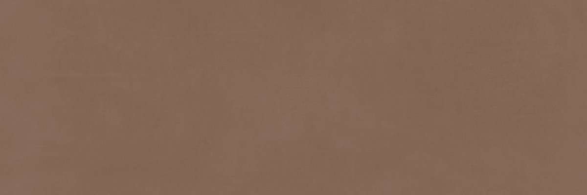 Керамическая плитка Meissen Fragmenti коричневый A16500, цвет коричневый, поверхность матовая, прямоугольник, 250x750