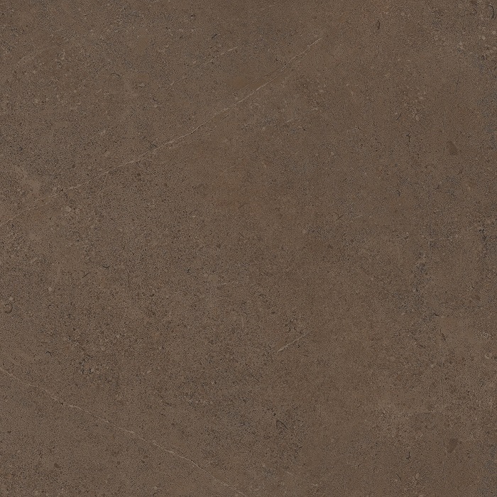 Керамогранит Estima Gobi Brown Grey GO03 Неполированный 60x60 69015, цвет коричневый, поверхность матовая, квадрат, 600x600