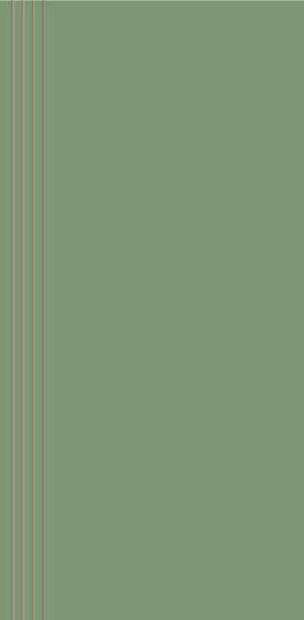 Ступени Керамин Моноколор 4 ступени, цвет зелёный, поверхность матовая, прямоугольник, 600x295