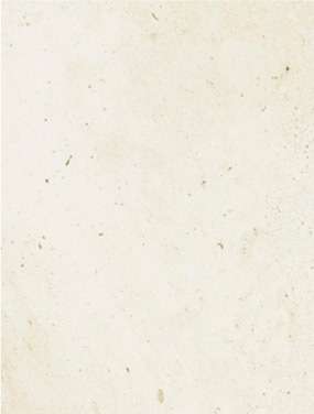 Керамическая плитка Cinca Halley Ivory 0869, цвет слоновая кость, поверхность матовая, прямоугольник, 250x330