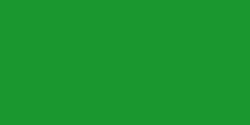 Керамическая плитка Нефрит керамика Kids 00-00-4-08-01-85-3025, цвет зелёный, поверхность матовая, прямоугольник, 200x400