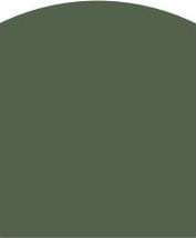 Клинкер Ornamenta Tale B Pesto TL1014PSC, цвет зелёный, поверхность матовая, чешуя, 100x140