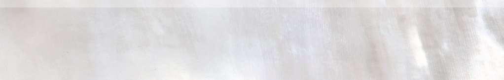 Бордюры Roberto Cavalli Tanduk Battiscopa Grigio Lapp. 556743, цвет серый, поверхность лаппатированная, прямоугольник, 95x600