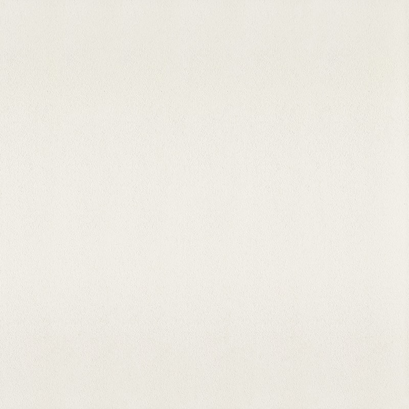 Керамогранит Paradyz Hall Ivory Gres Szkl. Mat., цвет белый, поверхность матовая, квадрат, 600x600