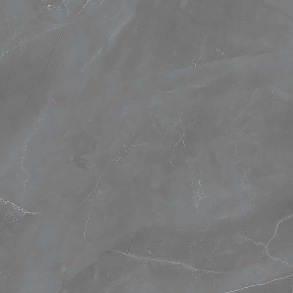 Керамогранит Maciej Zien Grey Pulpis Pol, цвет серый, поверхность полированная, квадрат, 598x598