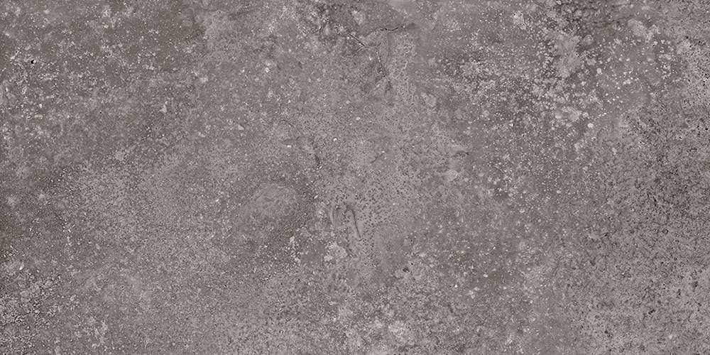 Керамогранит Terratinta Stonenature Fossil TTSN0336N, цвет серый, поверхность матовая, прямоугольник, 300x600
