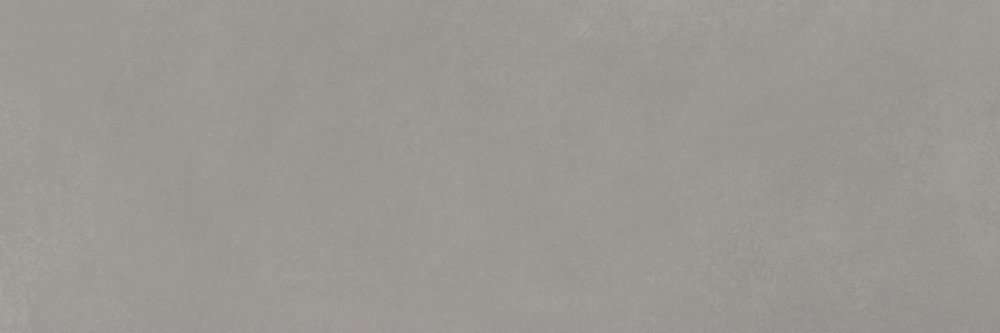 Керамогранит Peronda Planet Grey Sf/29X90/C/R 25011, цвет серый, поверхность матовая, квадрат, 290x900