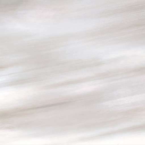 Керамогранит Roberto Cavalli Tanduk Grigio Rett. 556831, цвет серый, поверхность матовая, квадрат, 600x600