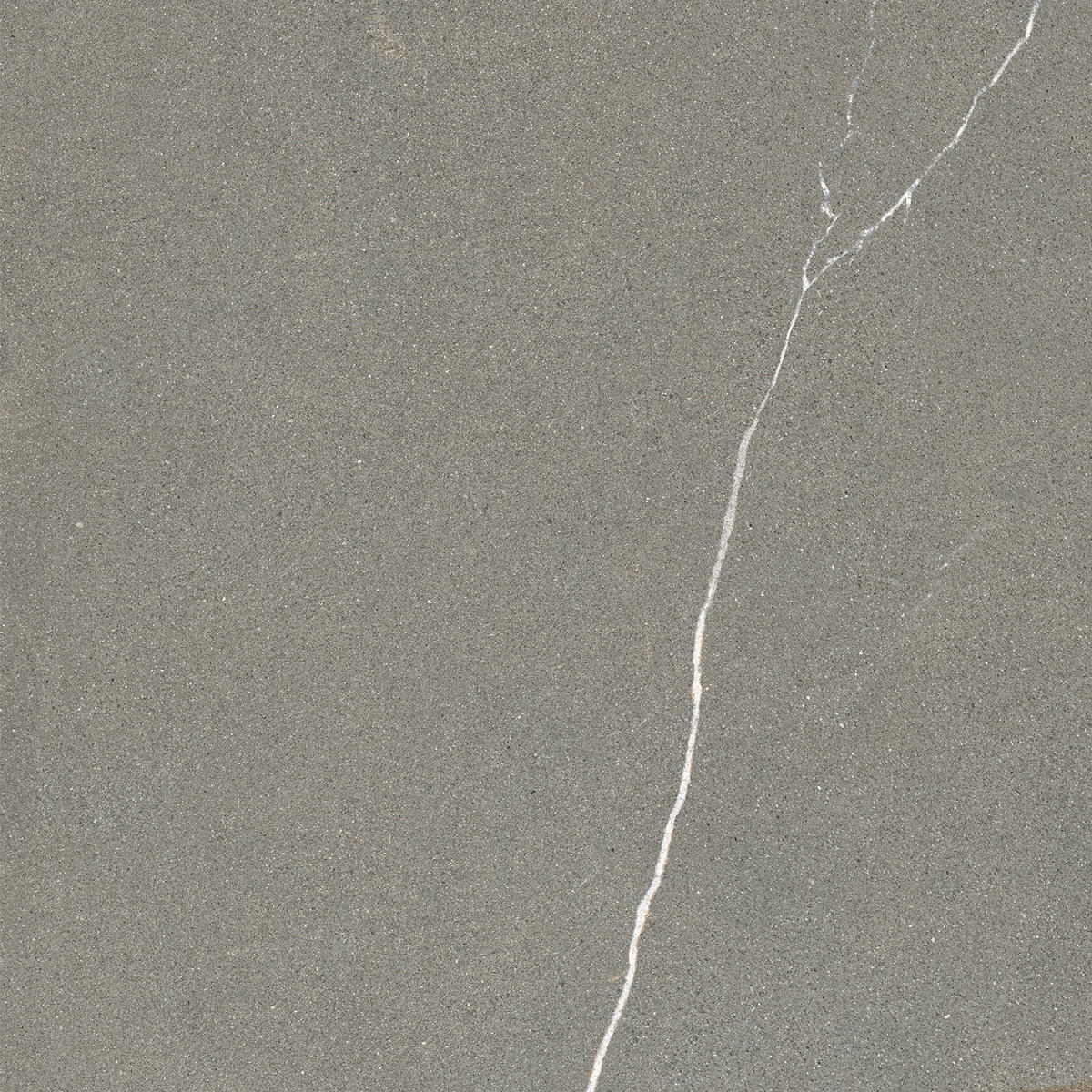 Керамогранит Caesar Shapes Of It Iulia AFNW, цвет серый, поверхность матовая, квадрат, 800x800