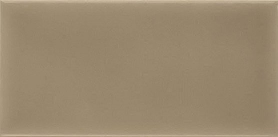 Керамическая плитка Adex ADST1021 Liso Sands, цвет коричневый, поверхность глянцевая, прямоугольник, 98x198