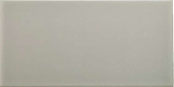 Керамическая плитка Adex ADNE1092 Liso PB Silver Mist, цвет серый, поверхность глянцевая, кабанчик, 75x150