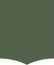 Клинкер Ornamenta Tale C Pesto TL1014PSO, цвет зелёный, поверхность матовая, чешуя, 100x140