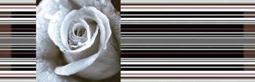 Декоративные элементы Estile Aure Decor Rose 01, цвет разноцветный, поверхность матовая, прямоугольник, 150x450