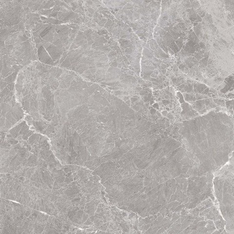 Керамогранит Undefasa Trentino Gris PW, цвет серый, поверхность полированная, квадрат, 600x600