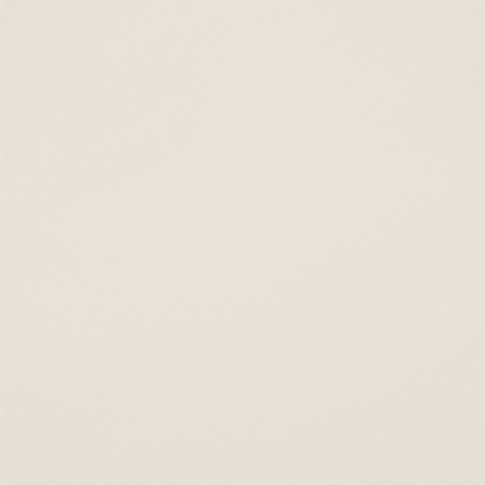 Керамическая плитка Tagina Details Field White 9EF085F, цвет белый, поверхность матовая, квадрат, 150x150