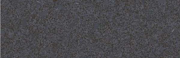 Керамическая плитка Sanchis Trend Grafito, цвет серый тёмный, поверхность матовая, прямоугольник, 330x1000