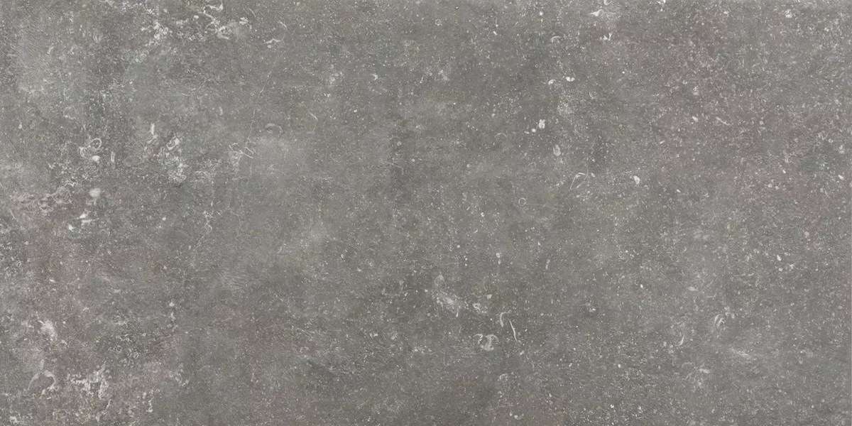 Керамогранит Rex Atmospheres Charme Patine R9 773338, цвет серый, поверхность патинированная, прямоугольник, 600x1200
