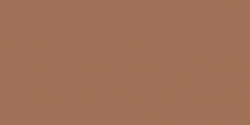 Керамогранит Baldocer Montmartre Terre Rect, цвет коричневый, поверхность матовая, прямоугольник, 600x1200