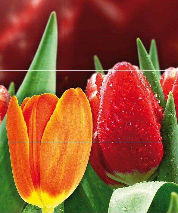 Панно Cerrol Syntia Tulip A, цвет разноцветный, поверхность глянцевая, прямоугольник, 600x500
