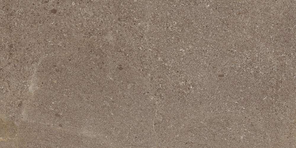 Керамогранит Italon Contempora Bern Cer 610015000261, цвет коричневый, поверхность патинированная, прямоугольник, 300x600