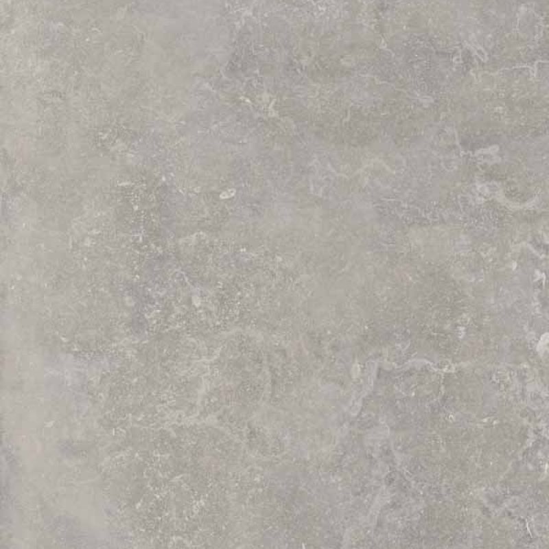 Широкоформатный керамогранит Ariana Memento Bruges Grey Ant PF60012325, цвет серый, поверхность полированная, квадрат, 1200x1200