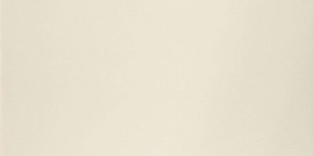 Керамогранит Mutina Dechirer Neutral Bianco PUDN11, цвет белый, поверхность матовая, прямоугольник, 600x1200