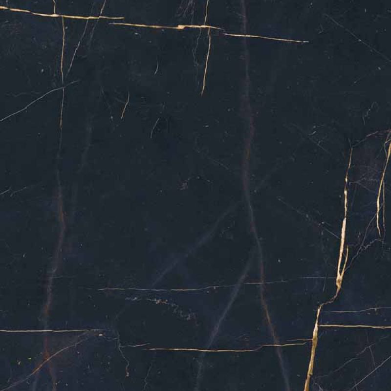 Широкоформатный керамогранит Ariana Nobile Port Noir Nat PF60011497, цвет чёрный, поверхность натуральная, квадрат, 1200x1200