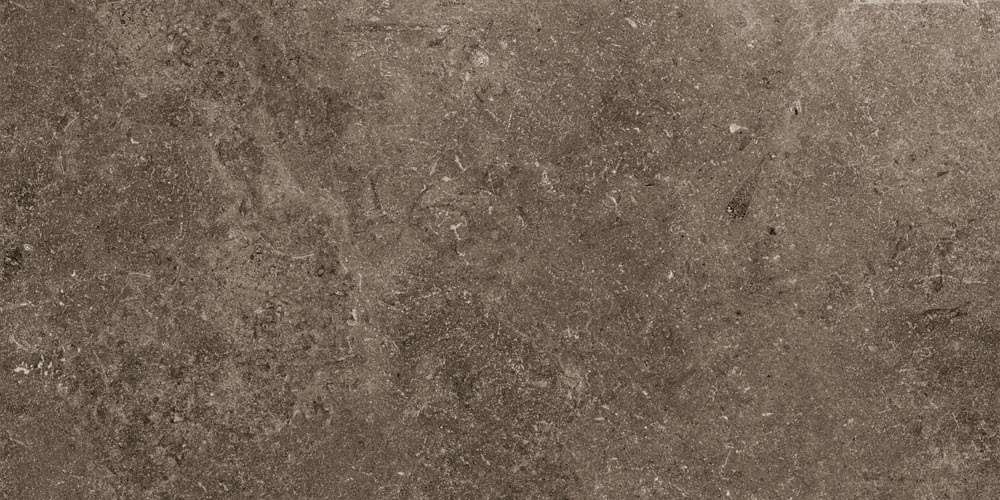Толстый керамогранит 20мм Kerlite Secret Stone Rare Dark Rett 20mm, цвет коричневый тёмный, поверхность матовая, прямоугольник, 600x1200