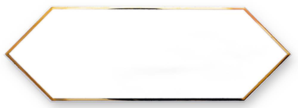 Декоративные элементы Maritima Zenith Decor Gold White, цвет белый золотой, поверхность глянцевая, шестиугольник, 100x300