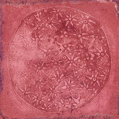 Керамогранит Vives Luca Carlo Granate-B, цвет бордовый, поверхность матовая, квадрат, 200x200