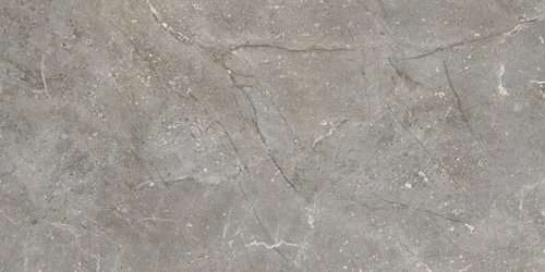 Керамическая плитка Vives Dedalo-R Ceniza, цвет серый, поверхность глянцевая, прямоугольник, 593x1193