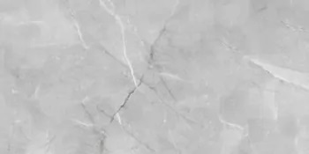 Керамогранит Absolut Gres Armani Silver AB 1142G, цвет серый, поверхность глянцевая, прямоугольник, 600x1200