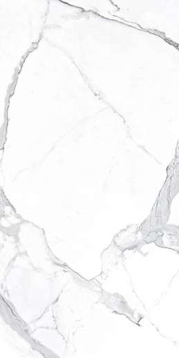 Широкоформатный керамогранит TAU Alto Statuario Vienmatch C Soft Matt, цвет белый серый, поверхность матовая, прямоугольник, 1600x3200