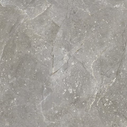Керамическая плитка Vives Dedalo Ceniza, цвет серый, поверхность глянцевая, квадрат, 600x600