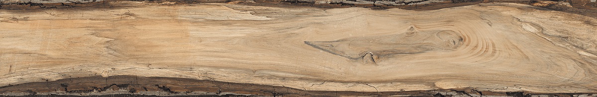 Керамогранит RHS Rondine Sherwood Oak J90592, цвет коричневый, поверхность матовая, прямоугольник, 240x1500