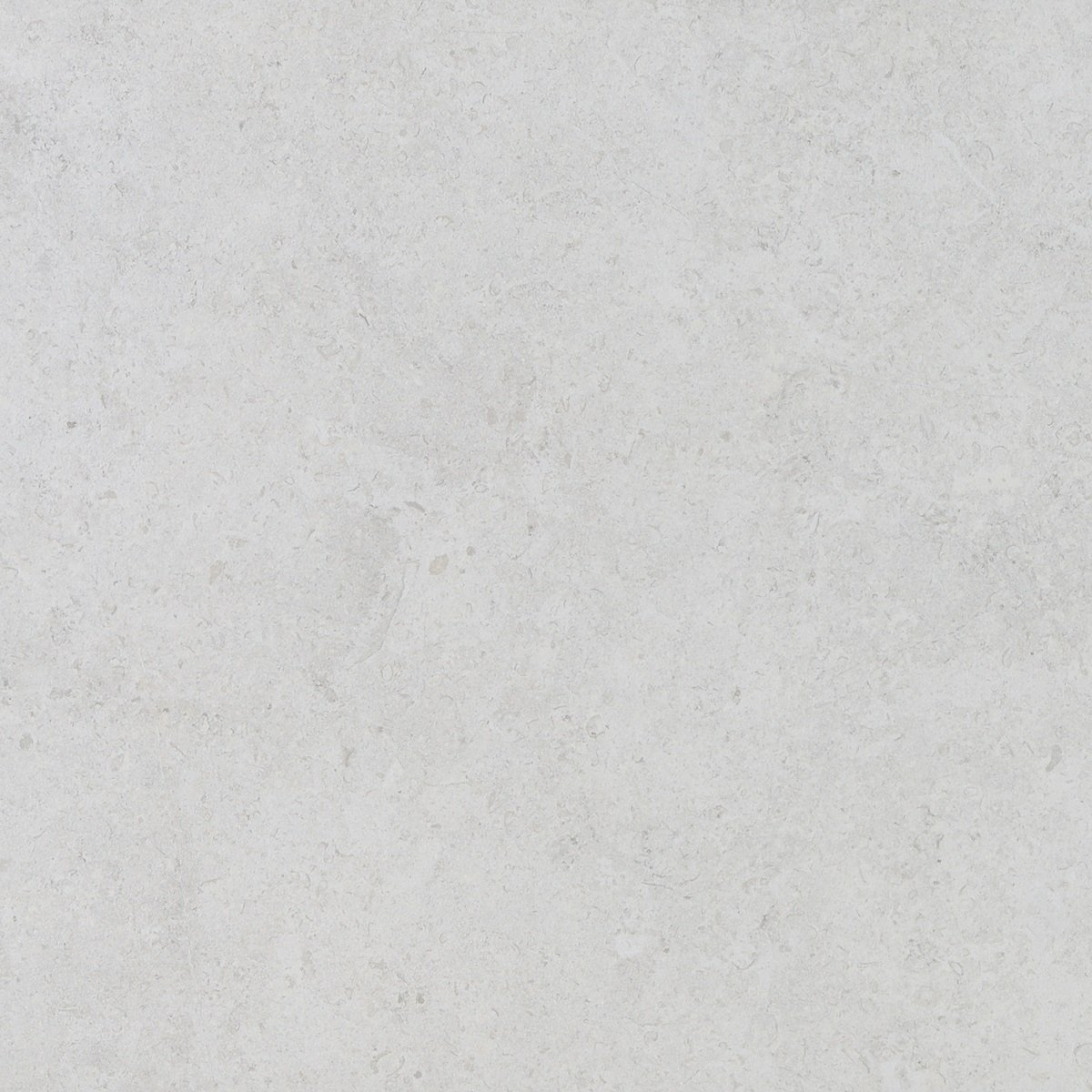 Керамогранит Argenta Etienne White RC, цвет белый, поверхность матовая, квадрат, 600x600