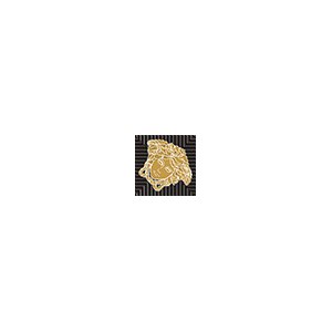 Вставки Versace Meteorite Toz.Medusa Nat Moka/Oro 47144, цвет коричневый золотой, поверхность натуральная, квадрат, 27x27