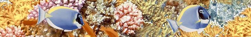 Бордюры Terracotta Бордюр Alba Reef, цвет разноцветный, поверхность глянцевая, прямоугольник, 45x300
