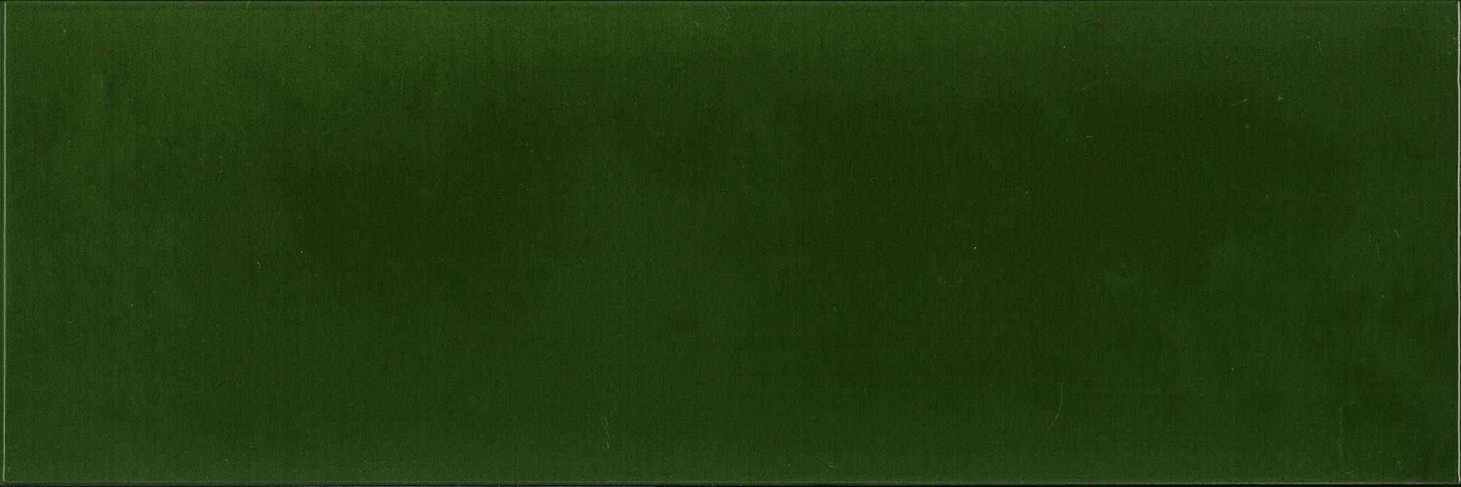 Керамическая плитка Absolut Keramika Damasco Botella Mailano Brillo, цвет зелёный, поверхность глянцевая, прямоугольник, 100x300