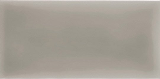 Керамическая плитка Adex ADST1027 Liso Graystone, цвет серый, поверхность глянцевая, прямоугольник, 98x198
