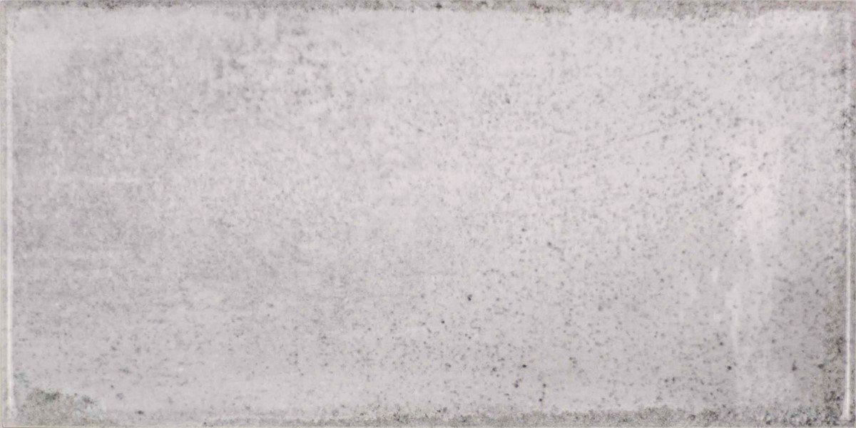Керамическая плитка Fabresa Vita Nebbia, цвет серый, поверхность глянцевая, кабанчик, 100x200